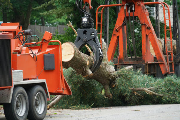 Mulching Services in Richmond, MN